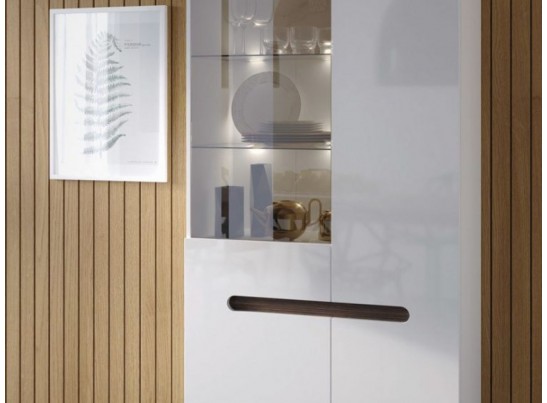 Шкаф со стеклом S205-REG1W1D/21/9 AZTECA