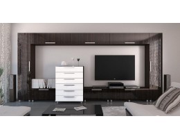 Гостиная Фортуна 2 (белый, зебравуд глянец)