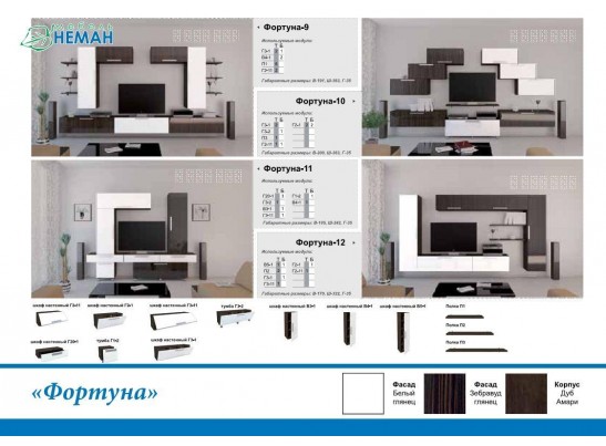 Гостиная Фортуна 11 (белый, зебравуд глянец)