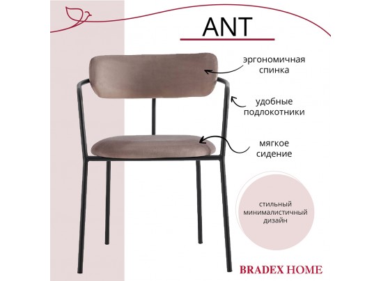 Комплект из 2-х стульев Ant латте в Кургане