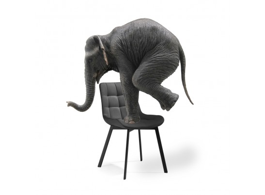 Комплект стульев Стронг 4 шт темно-серый / черный в Кургане