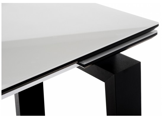 Стеклянный стол Давос белый / венге в Кургане