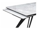 Стеклянный стол Дарвин 140(200)х80 белый мрамор / черный в Кургане