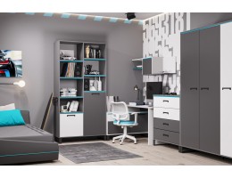 Шкаф купе CARBON