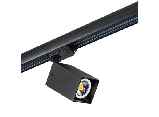 Трековое крепление с 3-фазным адаптером к 2163XX Asta Lightstar 594257 в Кургане