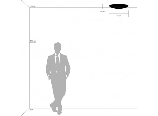 Плафон потолочный Zucche Lightstar 820840 в Кургане