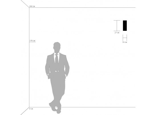 Светильник настенный Qubica Lightstar 805620 в Кургане