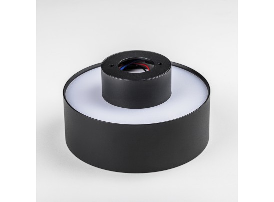 Светильник накладной Acuto Lightstar 215937 в Кургане