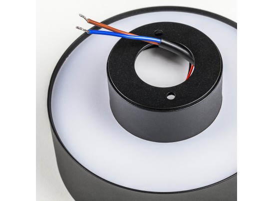 Светильник накладной Acuto Lightstar 215937 в Кургане