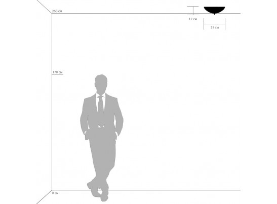 Плафон потолочный Zucche Lightstar 820234 в Кургане