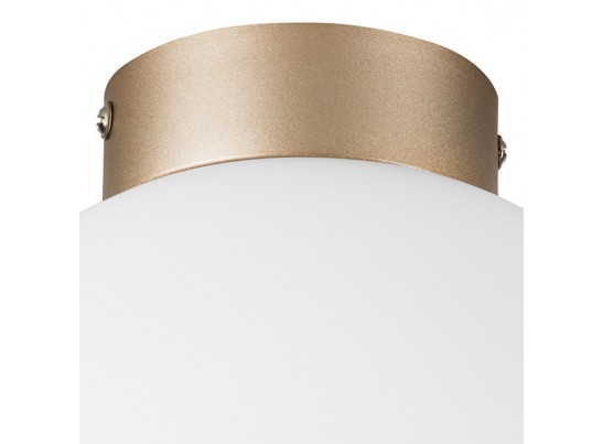 Плафон потолочный Globo Lightstar 812023 в Кургане