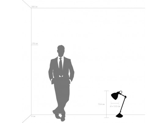 Настольная лампа Loft Lightstar 865917 в Кургане