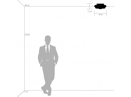 Светильник потолочный Favo Lightstar 750071 в Кургане