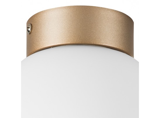 Плафон потолочный Globo Lightstar 812013 в Кургане