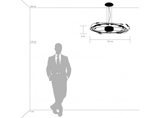 Люстра подвесная Ovale Lightstar 784346 в Кургане