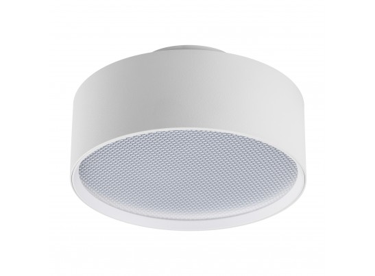 Светильник накладной Acuto Lightstar 215946 в Кургане