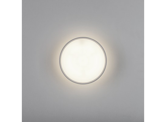 Светильник накладной Acuto Lightstar 215946 в Кургане