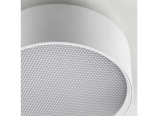 Светильник накладной Acuto Lightstar 215946 в Кургане