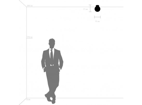 Плафон потолочный Globo Lightstar 812017 в Кургане