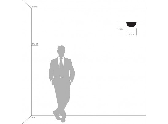 Бра Agola Lightstar 810823 в Кургане