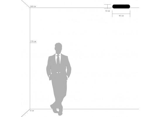 Плафон потолочный Zucche Lightstar 820360 в Кургане