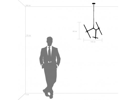 Люстра подвесная Struttura Lightstar 742063 в Кургане