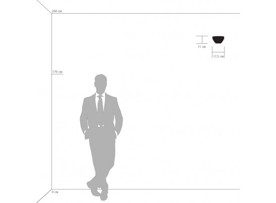 Бра Agola Lightstar 810811 в Кургане