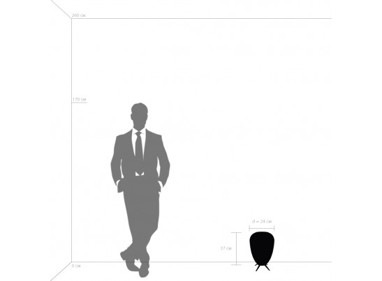 Настольная лампа Arnia Lightstar 805912 в Кургане