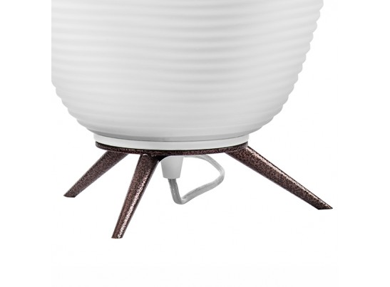 Настольная лампа Arnia Lightstar 805912 в Кургане