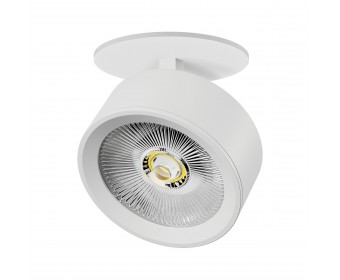 Светильник встраиваемый LED 30W со встроенной чашей Alta Pro Lightstar A5646RS