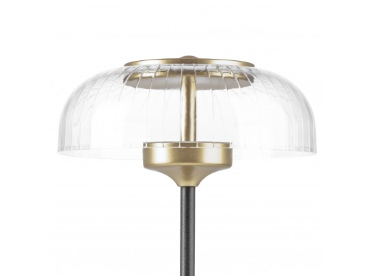 Настольная лампа Acrile Lightstar 738973 в Кургане