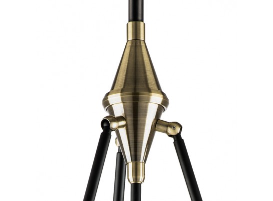 Люстра потолочная Modena Lightstar 816037 в Кургане